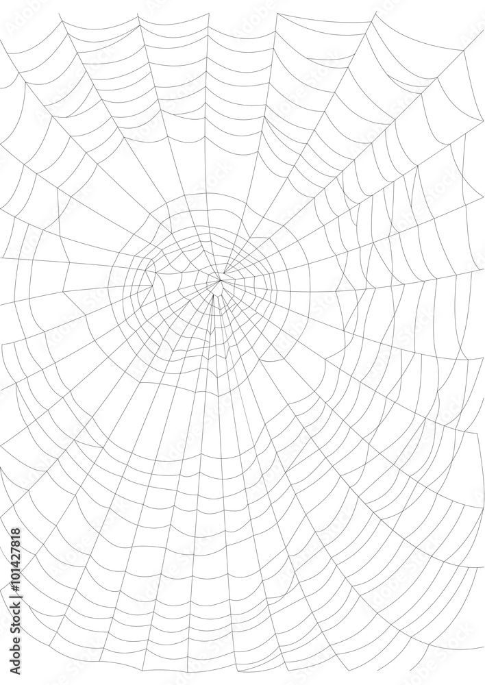 Thin and crispy cobweb background black on white. Vector illustration. Thin and crispy cobweb background black on white. Vector illustration.