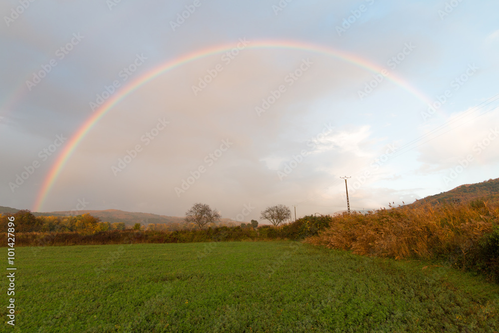 Naklejka premium At the end of the rainbow