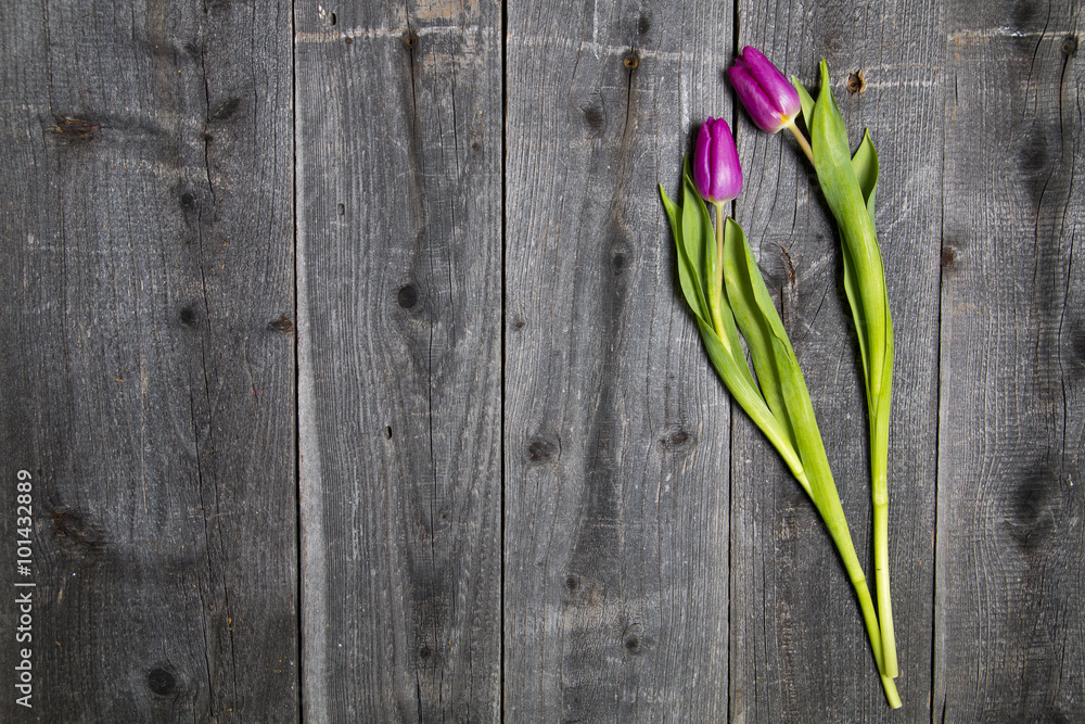 Fototapeta premium Tulipany na drewnianym tle