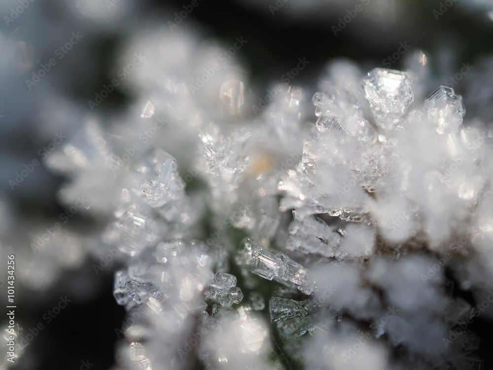 crystals of ice in the winter