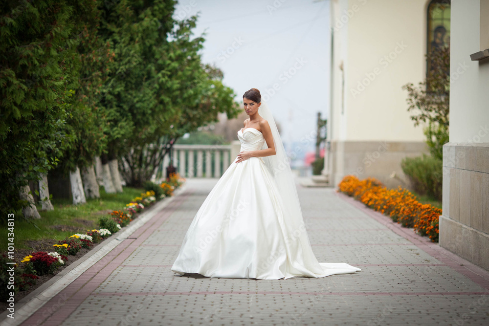 Elegant stylish sweet young bride in amazing wedding dress Elegant stylish sweet young bride in amazing wedding dress