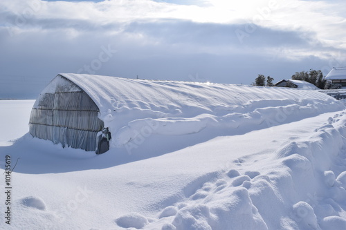 雪の中の農業用ビニールハウス／山形県の庄内地方で、雪の中の農業用ビニールハウスを撮影した写真です。 © FRANK
