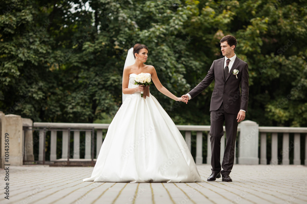 elegant stylish young couple beautiful bride and groom go hand