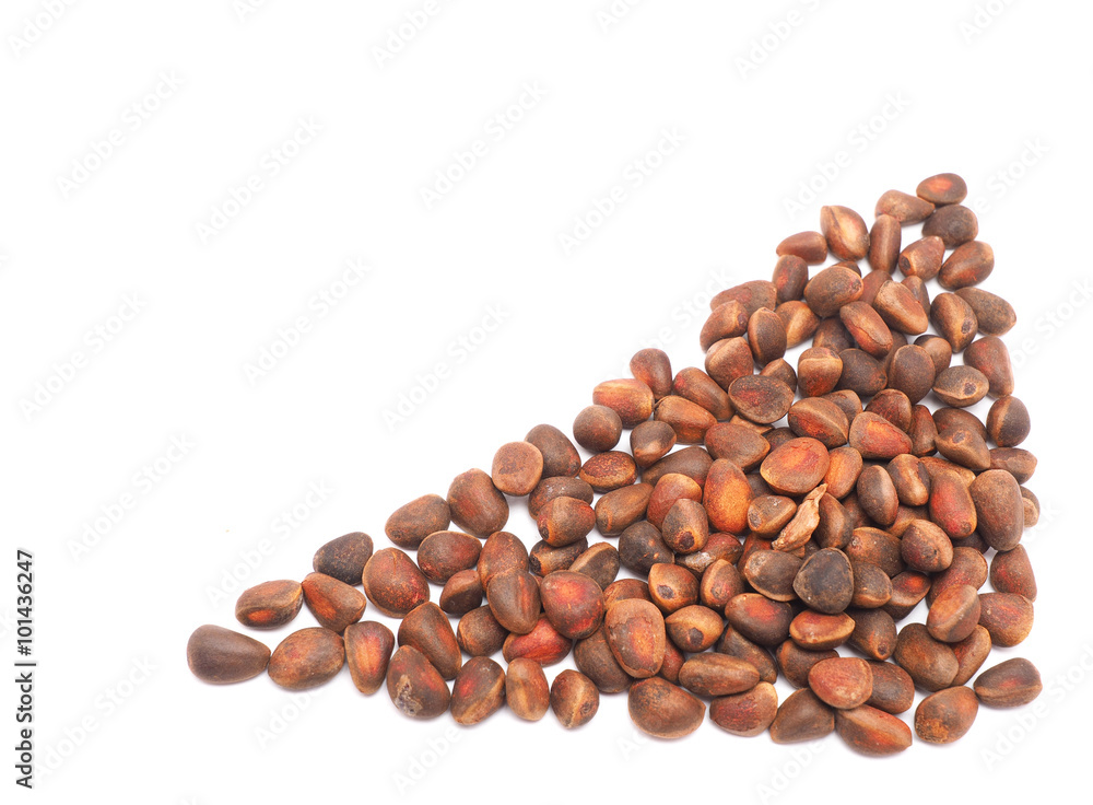 pine nuts on a white background pine nuts on a white background