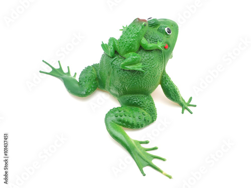toy frog on white background © enskanto