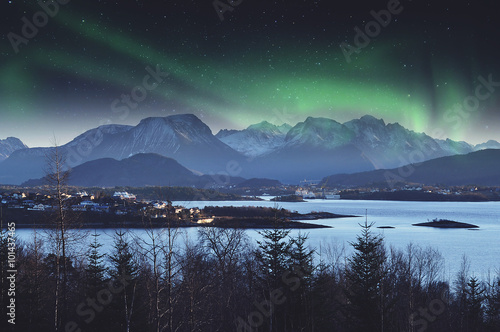 Canvas Print Norwegian landscape during the Northern Lights