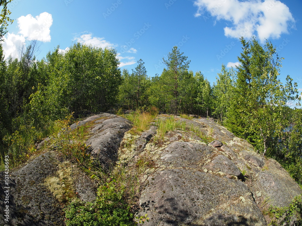 Rocks in the Forest Rocks in the Forest