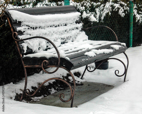 A snow-bound bench is in a garden photo