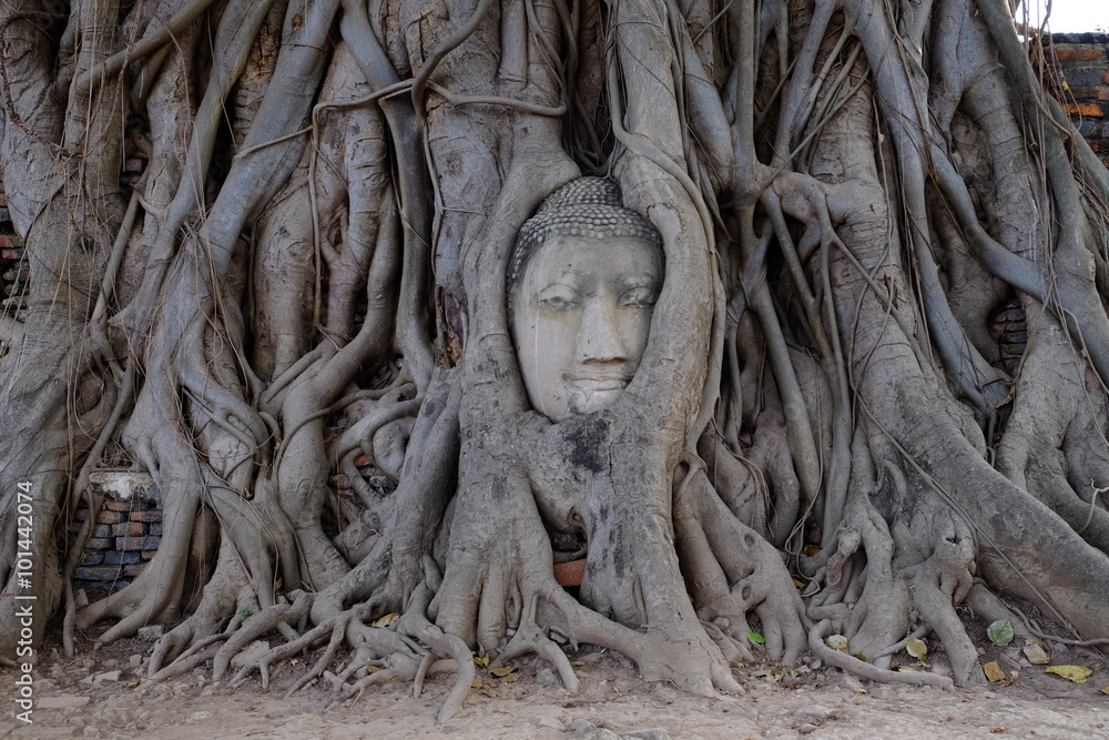 Buddha statue at Wat Mahathat temple, Ayutthaya, Thailand