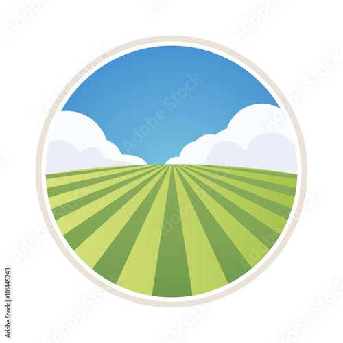 Field of Barley