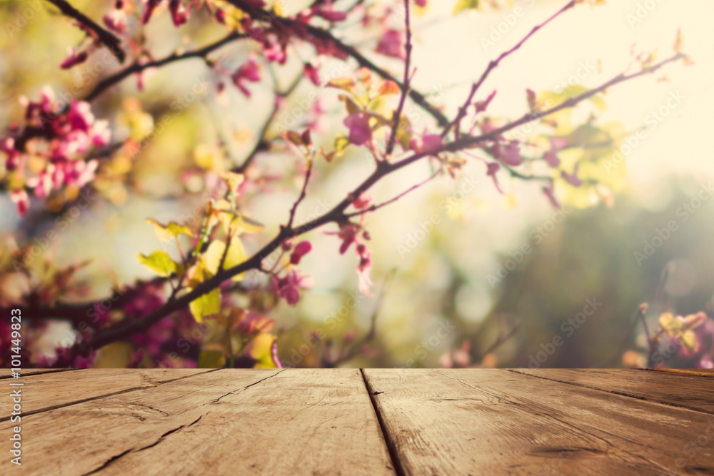 Empty wooden vintage table board over spring blossom bokeh background