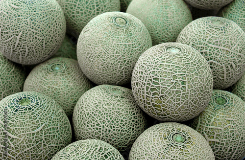 Closeup of cantaloupe melon