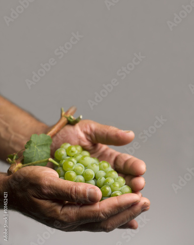 Hands holding a grape