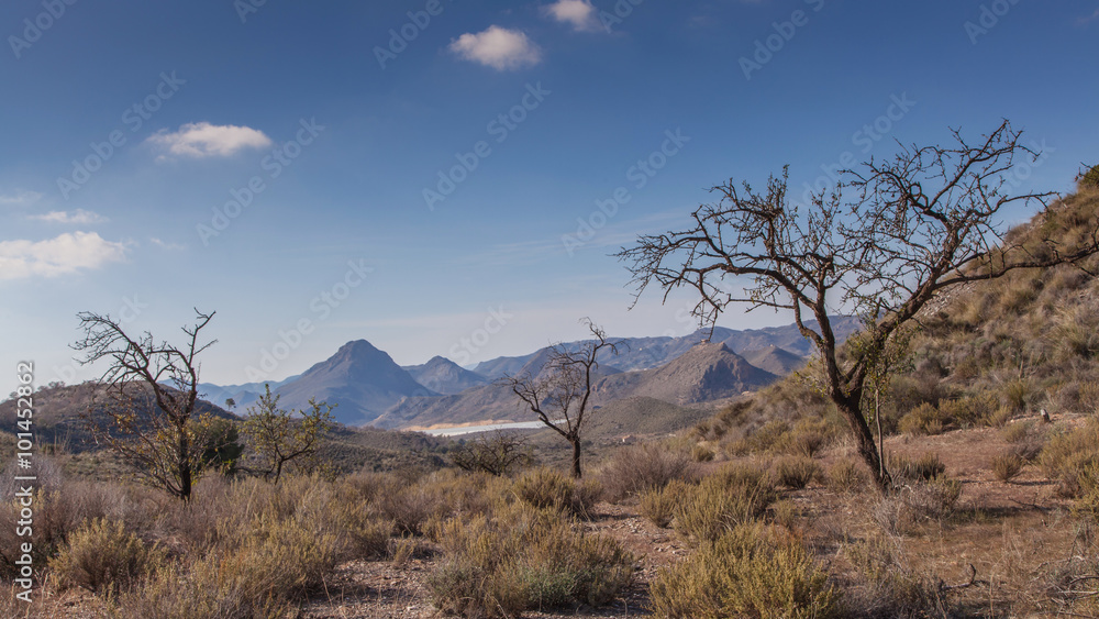 cabo cope-puntas de calnegre Karge Landschaft Südosten Spanien cabo cope-puntas de calnegre Karge Landschaft Südosten Spanien