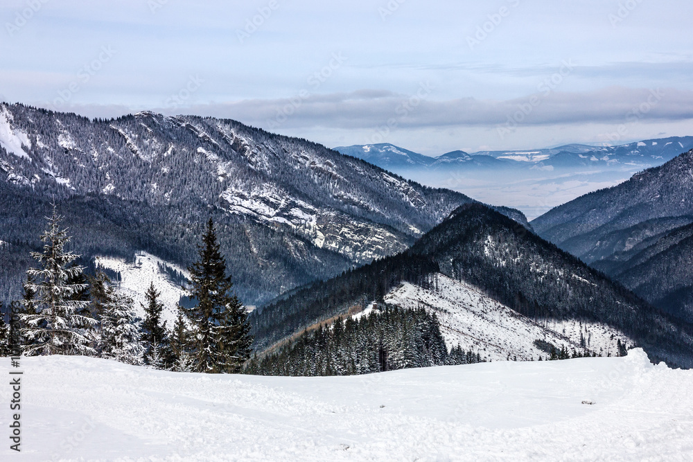 Mountain scenery, winter Tatry landscape, forest, Slovakia