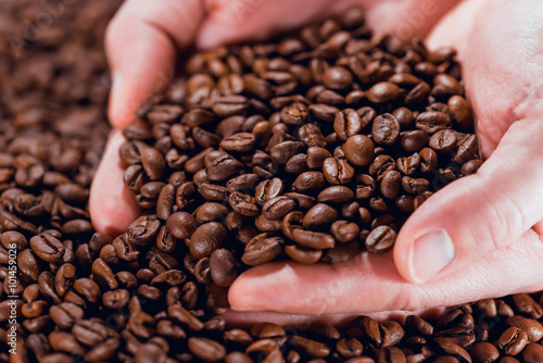 Coffee beans in the palms