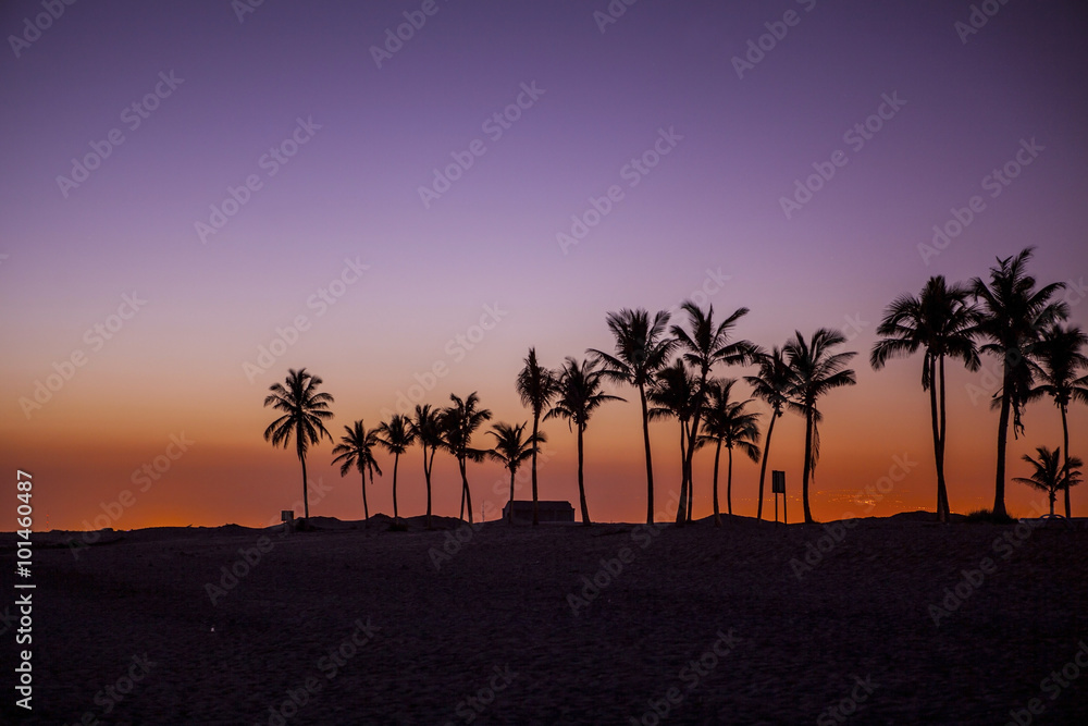 Naklejka premium Sunset in Salalah, Dhofar, Oman.