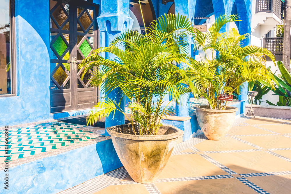 Fototapeta premium Vase Plant decoration exterior