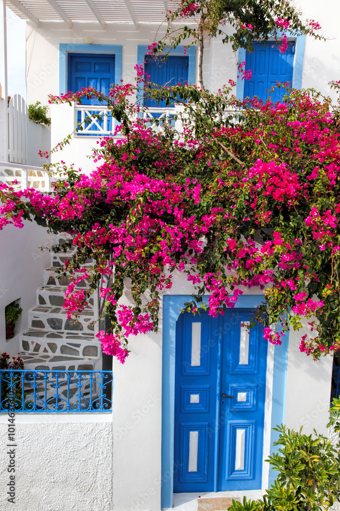 Traditional greek house with flowers in Oia village on Santorini island, Greece