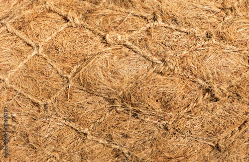 Dry Flax Fiber photo