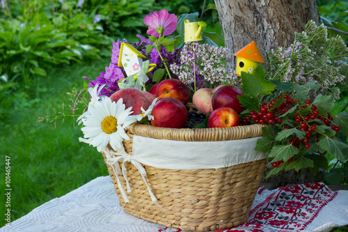 Садовая корзина с цветами и фруктами  на фоне сада