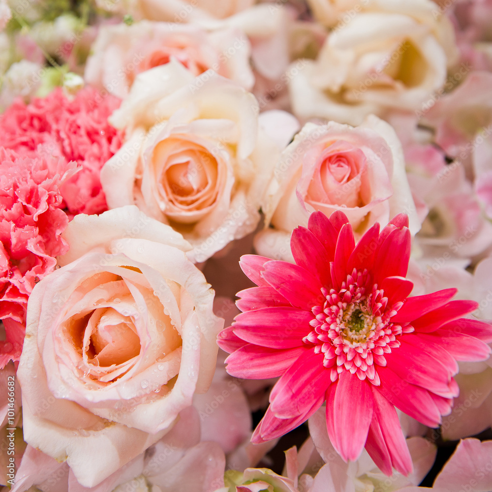 Fototapeta premium Beautiful flowers background
