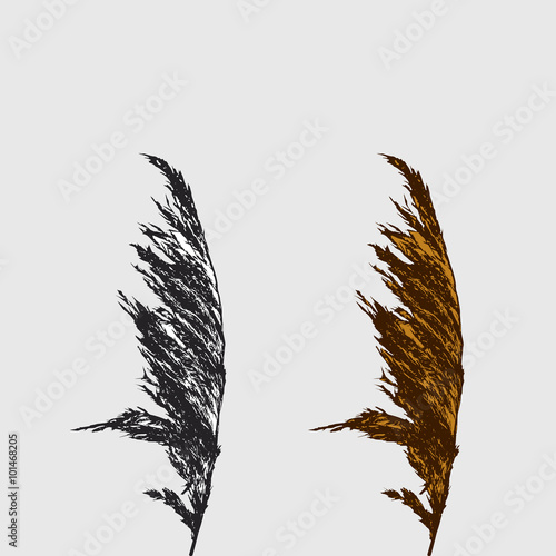 Black/white and colored reed