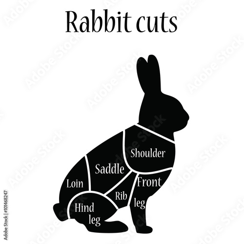 Rabbit butcher chart