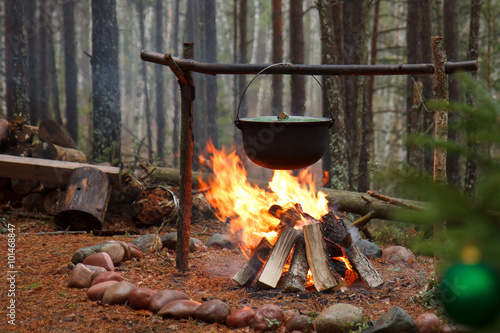 Boiling in the forest