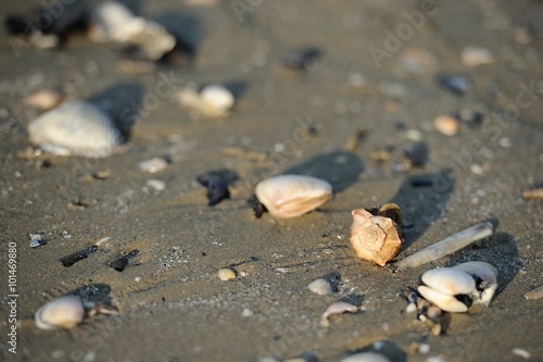 Beach Texture