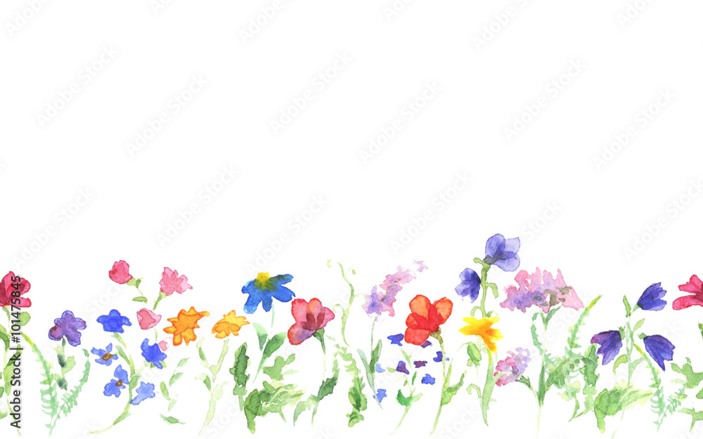 Background with hand drawing watercolor wild flowers on white. Seamless banner. Hand painting color copy space border.