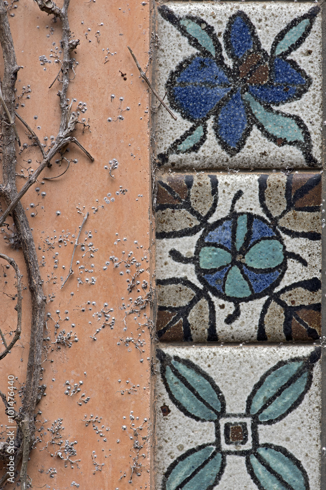 Dried ivy branches in tiled wall