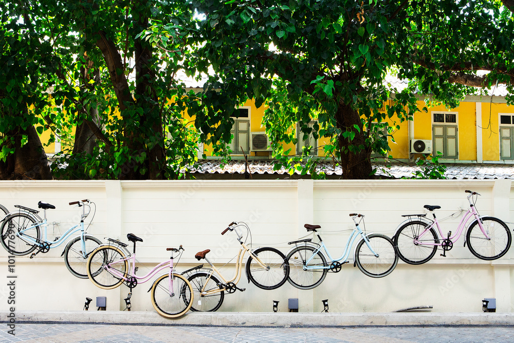 Fototapeta premium Bicycle wall with building background