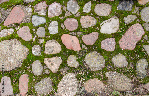 Brick pavement blocks. Cobbled pavement. Green moss on old stone footpath. Road pavement, grass green. Moss trying to grow inbetween cobbled pavement.