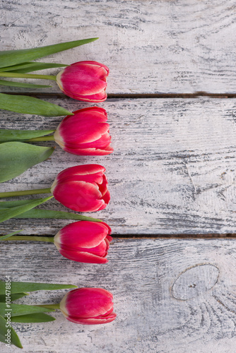 flowers, gift, tulips, background photo