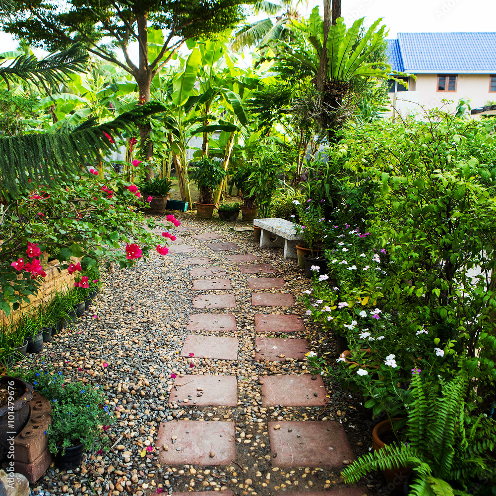 Obraz premium Landscaping in the garden. The path in the garden.