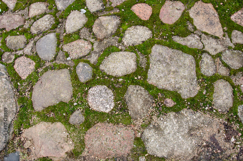 Brick pavement blocks. Cobbled pavement. Green moss on old stone footpath. Road pavement, grass green. Moss trying to grow inbetween cobbled pavement.