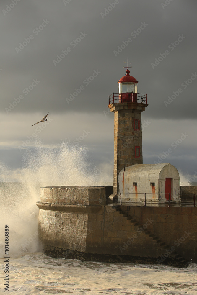 Seagull, wave and lighthouse