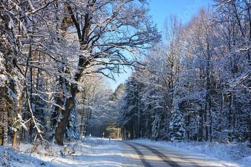 Road in winter forest full of snow. photo