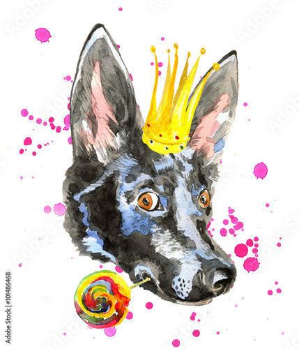 Doberman puppy with  long ears holds lollipop