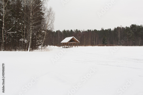 Winter landscape - forest photo