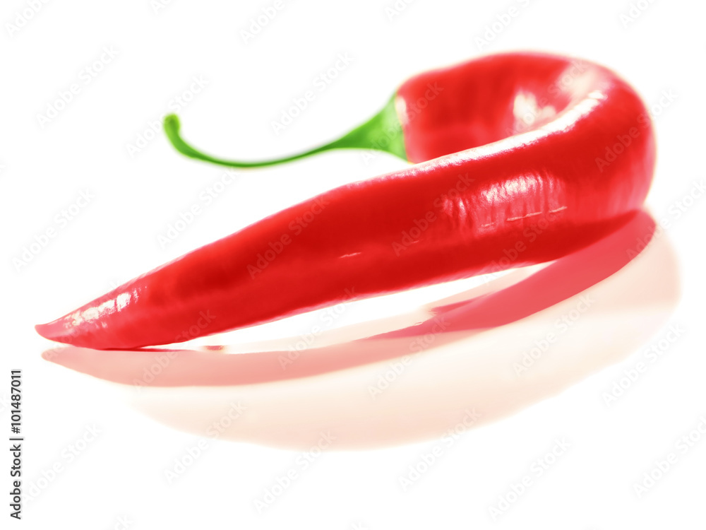 Fresh Red Hot Chili Pepper. White background. Soft Focus view. Fresh Red Hot Chili Pepper. White background. Soft Focus view.