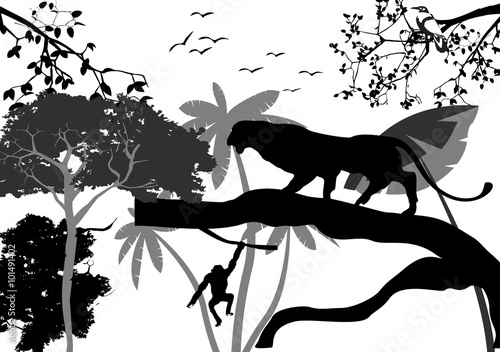 Jungle silhouettes vector illustration. Panther silhouette on tree, tree silhouettes on background