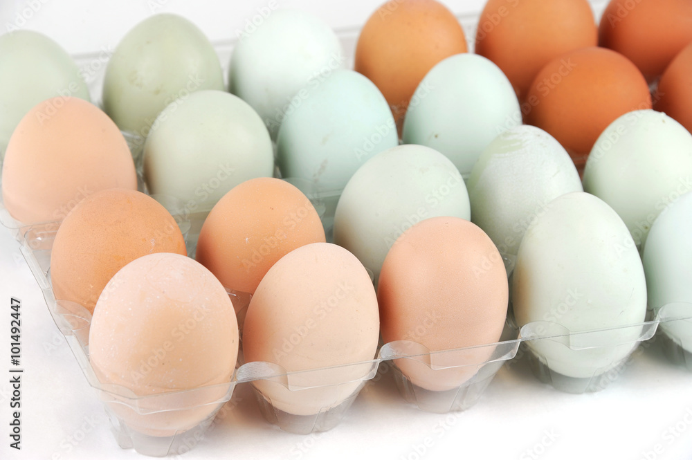 different color chicken eggs in container different color chicken eggs in container