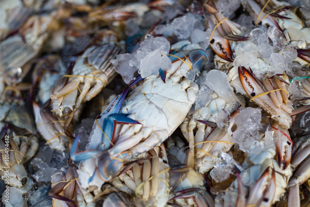 .Blue crab seafood .Blue crab seafood