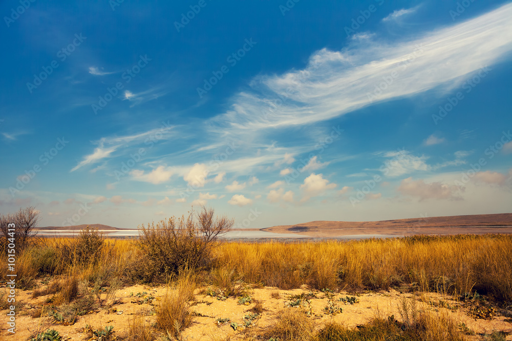 Salty lake in prairie