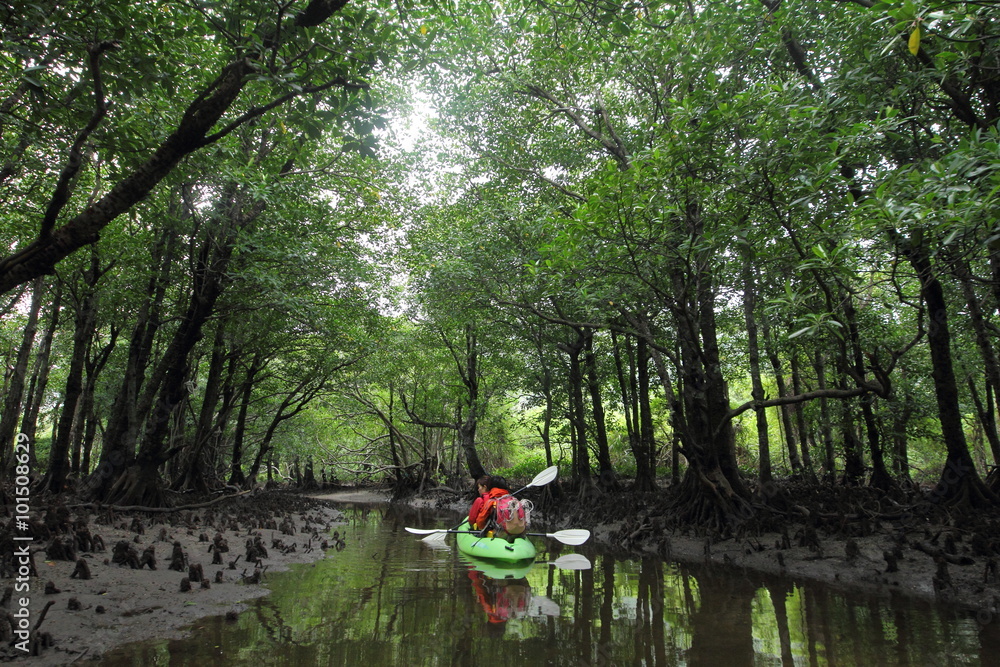 Fototapeta premium カヤック