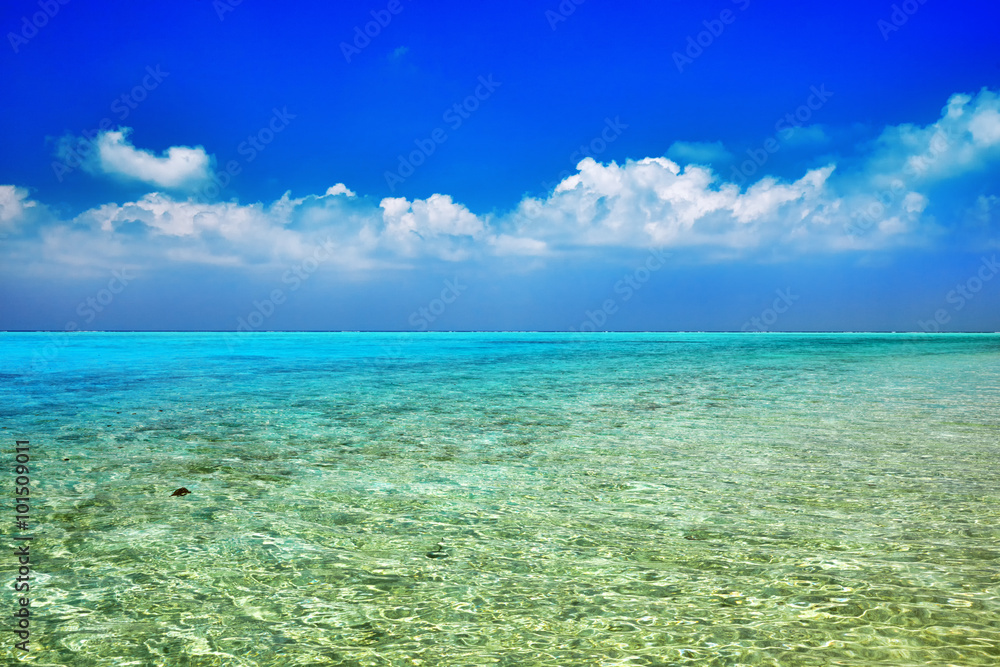 Skyline of Indian Ocean view from  tropical island in the Maldiv