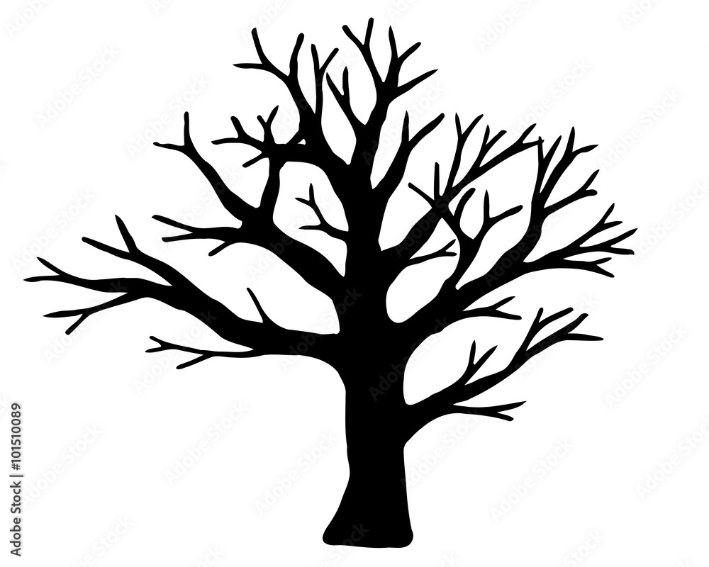 Tree vector isolated on white background. Tree vector isolated on white background.