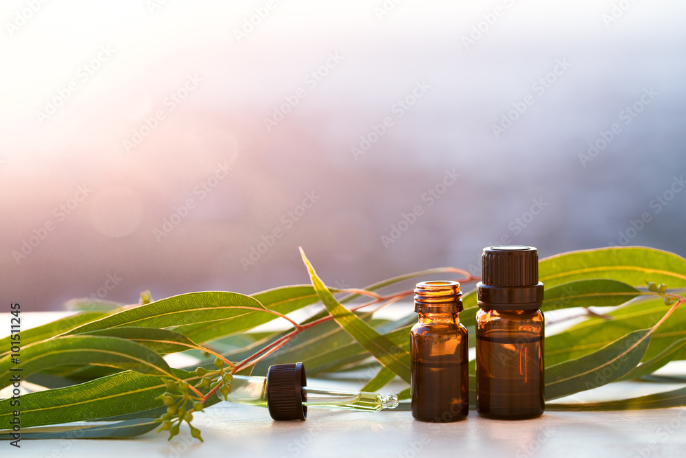 Fotografie Eucalyptus aromatherapy essential oils in bottles